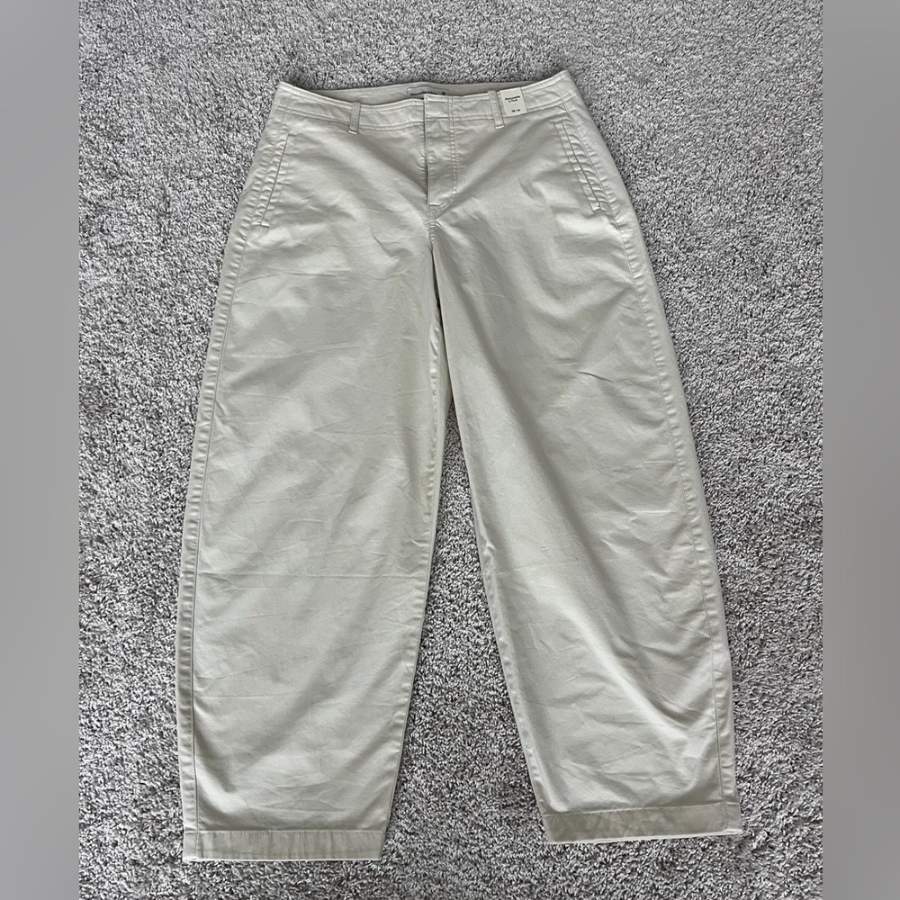 Abercrombie and Fitch Curve Love Pants. New with Tags.